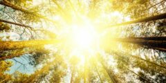 فوائد أشعة الشمس للمزاج وصحة العظام والمناعة